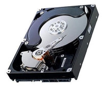 Shred & Burn Media £10.00 per kilo